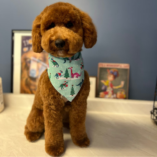 Greater Rochester Grooming