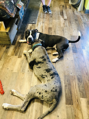 Green Family Pets - Boarding and Grooming