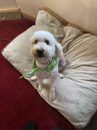 Greenfield Grooming Salon - Pittsburgh, PA