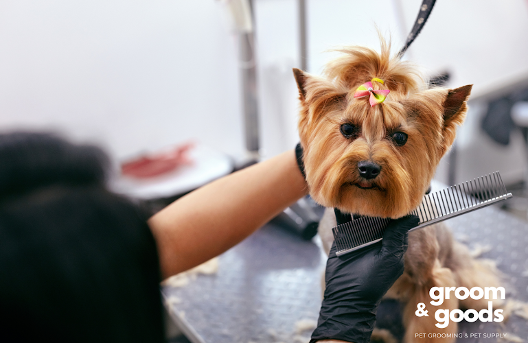 Groom & Goods – Dog Grooming & Pet Supply | Cliffside Park