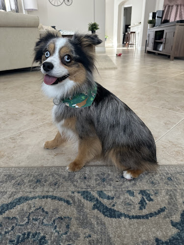 Groom Grub & Belly Rub