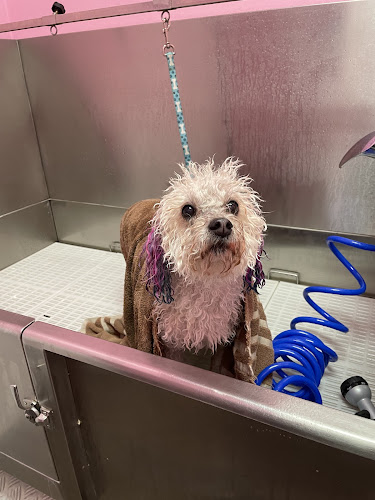 Groomer’s Warehouse