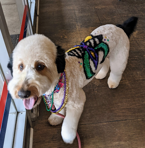 Groomin Tails Pet Salon