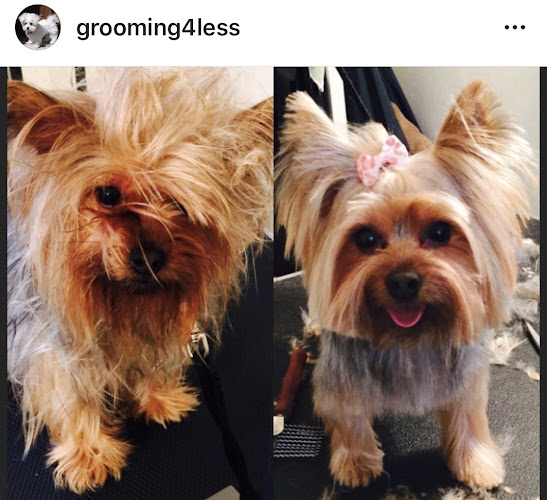 Grooming 4 Less