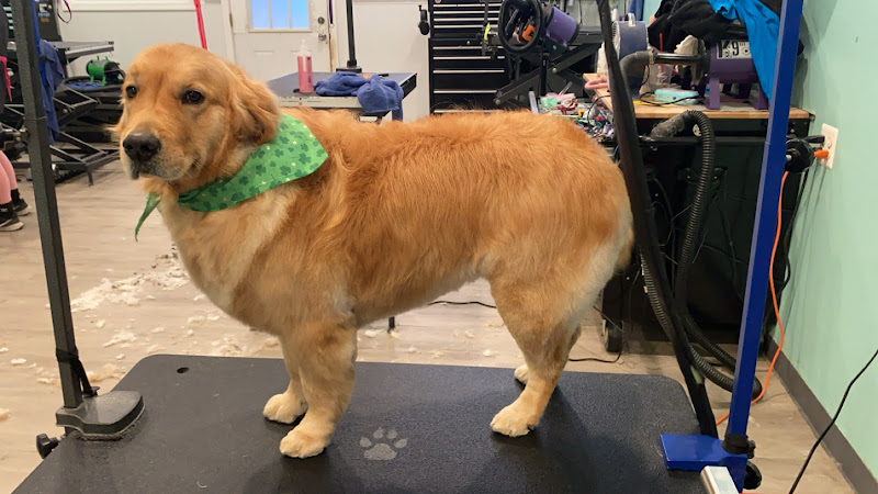 Grooming at Tiffany's