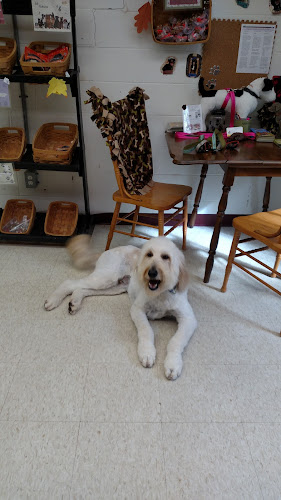 Grooming by Brad & More