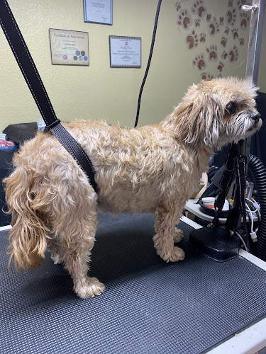 Grooming by Chastity