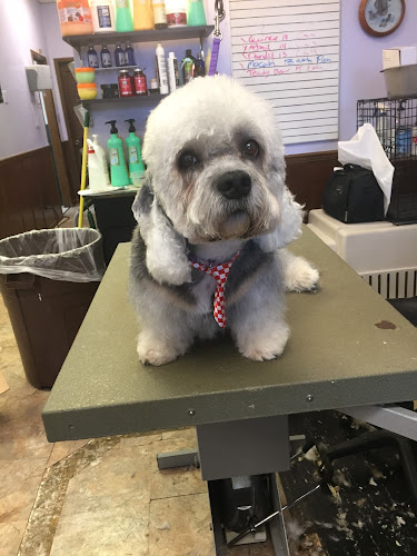 Grooming By Tanya, LLC