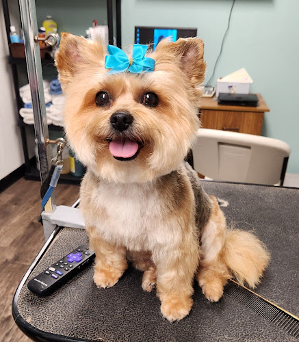 Grooming by Toni. inc.