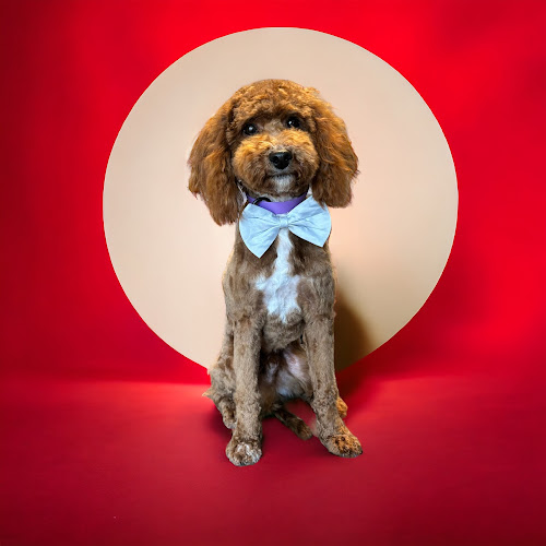 Grooming by Victoria