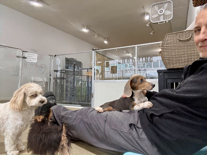 Grooming & Self-Service Dog Wash @ Smart Puppies