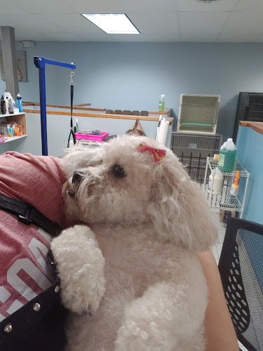 Grooming with Tamrah at Spots