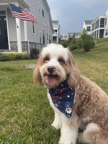 Groomingdale's of Austin