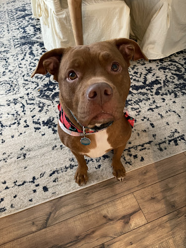 Groomingdale's Pet Salon