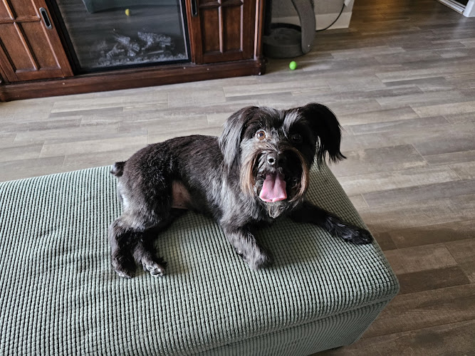 Groomingdale's Pet Spa @ San Antonio