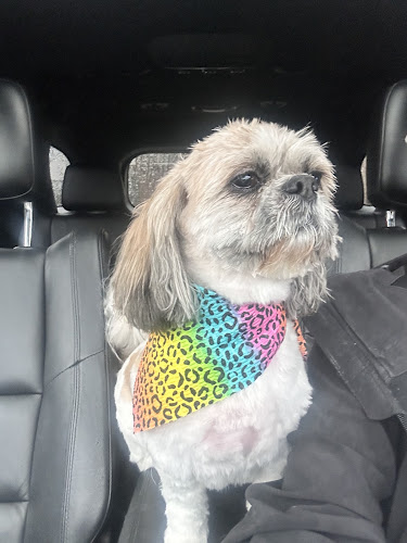 Groomingdales Pet Salon