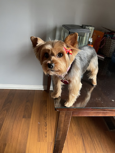 Groomingtails of Bowling Green LLC