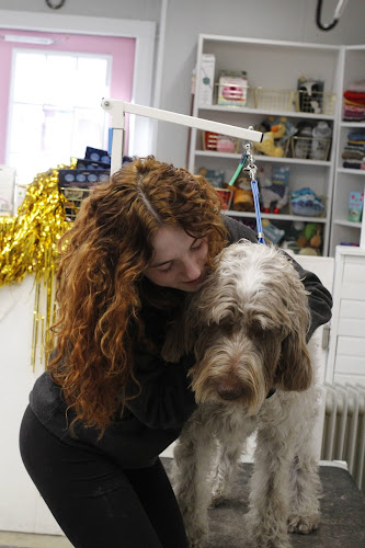 Groomington Coat Factory