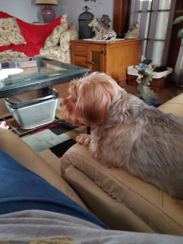 Grooms by Michelle, LLC