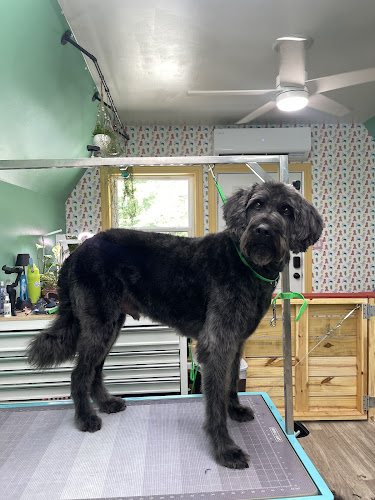 Groovy Grooms by Kiersten