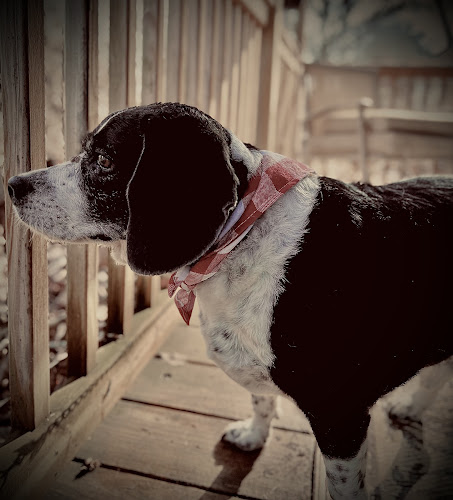 Grove Gentle Grooming