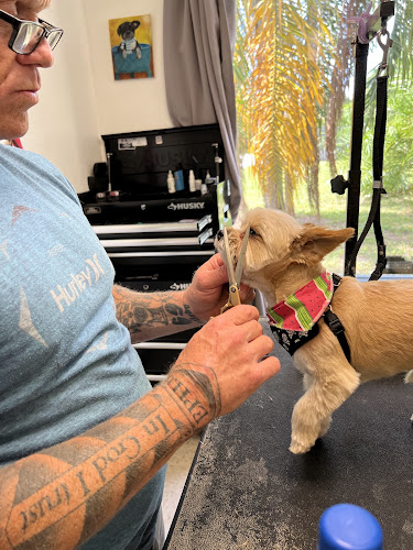 Gulf Beaches Grooming, LLC