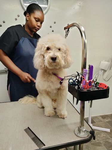 Hair and Tails Pet Grooming