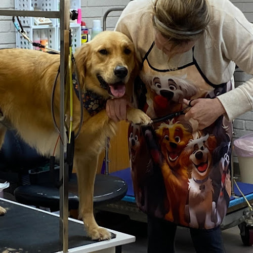 Hair of the Dog Grooming