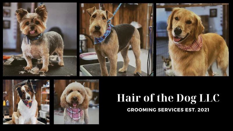 Hair of the Dog LLC