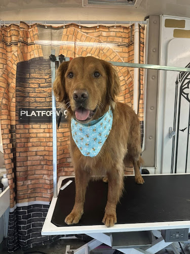 Hairy Pawter & The Mobile Grooming Unit