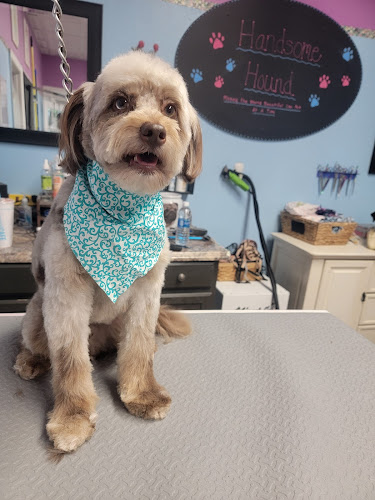 Handsome Hound Pet Grooming