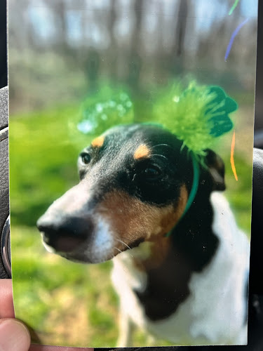 Hannah's House Kennels For Dogs