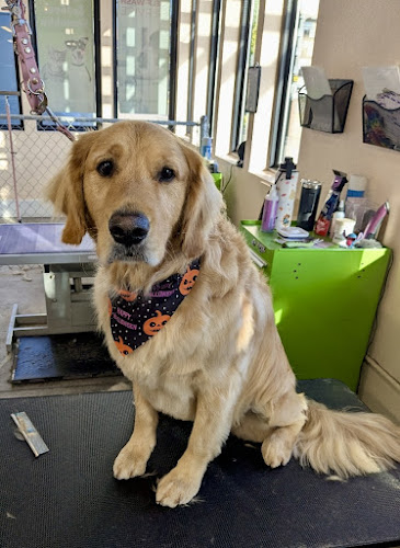 Happi Pup Spa (formerly Sydnees Pet Grooming)