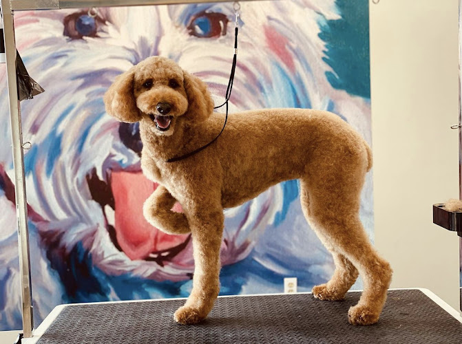 Happy Dog Baths & Grooming