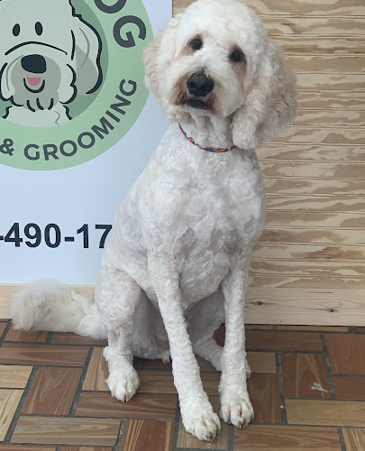 Happy Dog Baths & Grooming - Vestavia