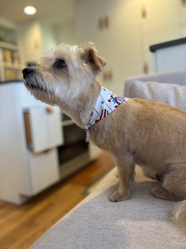 Happy Hound Pet Salon