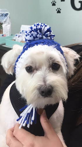 Happy Hounds Grooming, LLC