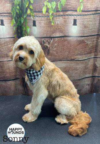 Happy Hounds Mobile Pet Grooming