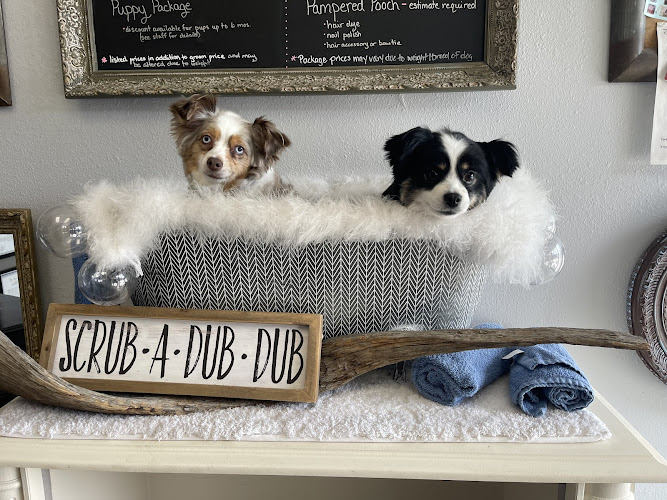 Happy Hounds Pet Grooming