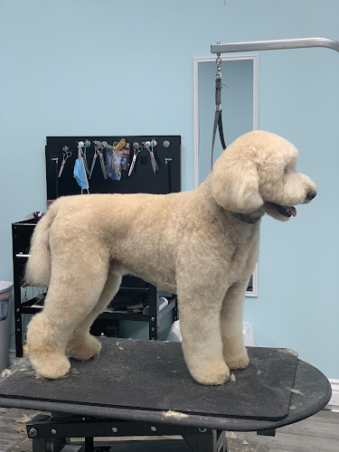 Happy Paws Dog Grooming