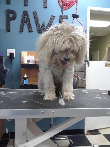 Happy Paws Pet Grooming