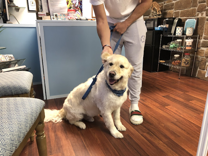 Happy Paws Salon