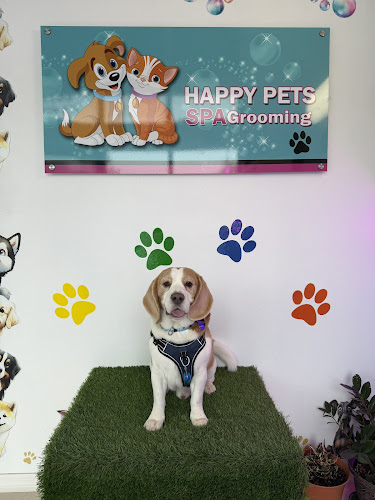 Happy Pets Spa