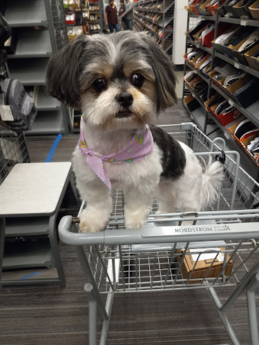 Happy Puppy Grooming & Self Dog Wash