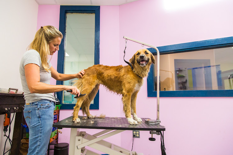 Happy Snoutz Pet Resort