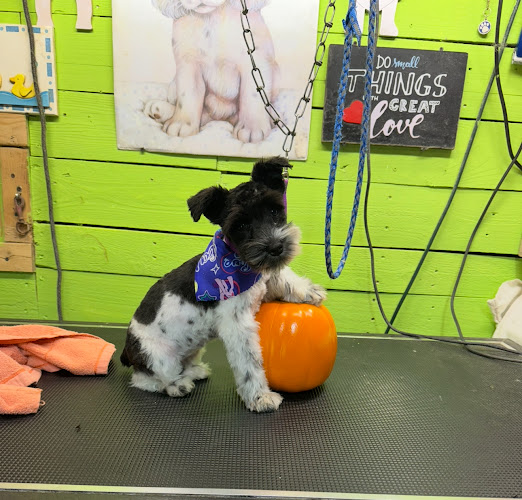 Happy Tails Groom & Board