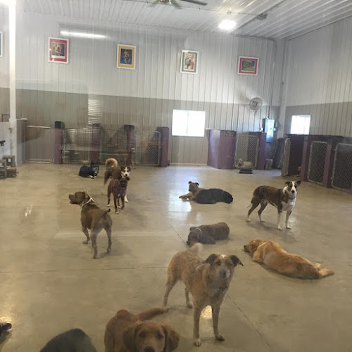 Happy Tails Pet Grooming, Boarding, & Daycare