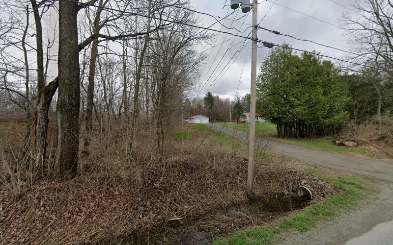 Happy Trails Pet Grooming