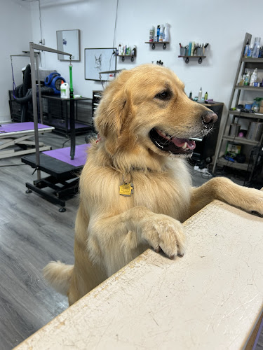 Happy Woofs Grooming