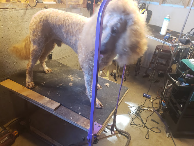 Hardy's Grooming and Boarding